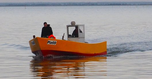 Foka zaplątała się w rybackie sieci na Zalewie Wiślanym i utopiła się