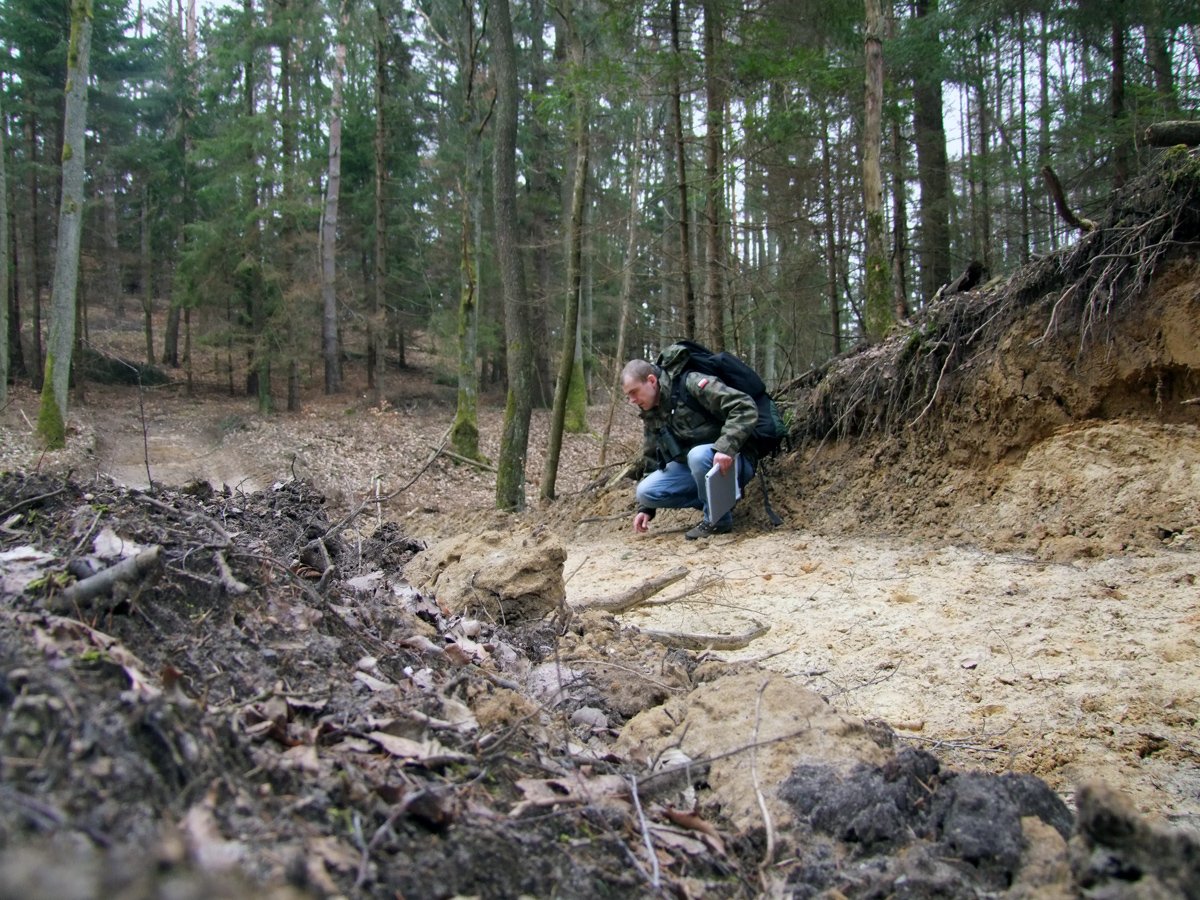 Pierwsze jesienne tropienie wilków na Wysoczyźnie Elbląskiej