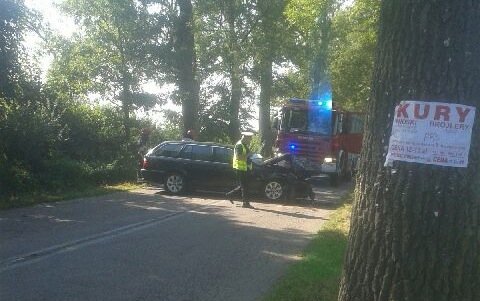 Kierowca uderzył w drzewo. Dwie osoby poszkodowane