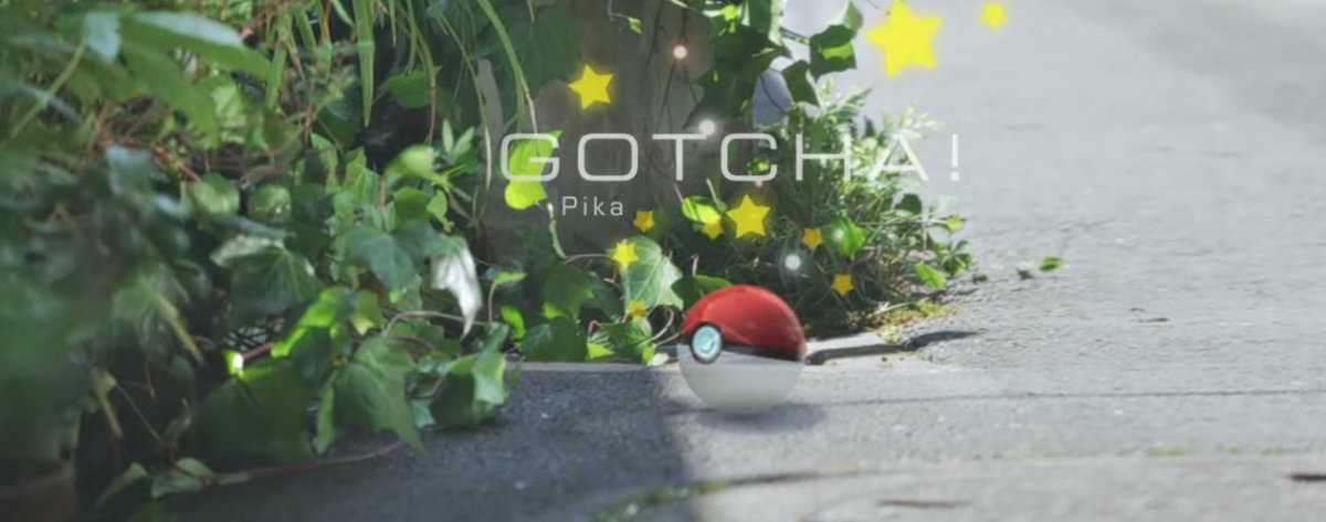 Bo my tu proszę pana Pokemona szukamy…