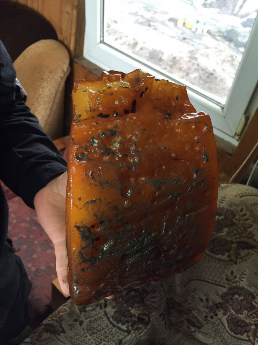 Bursztyn olbrzym znaleziony w obwodzie kaliningradzkim. Waży blisko 3 kg