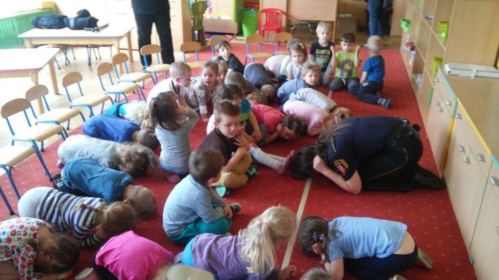 Bezpieczny spacer z czworonogiem
