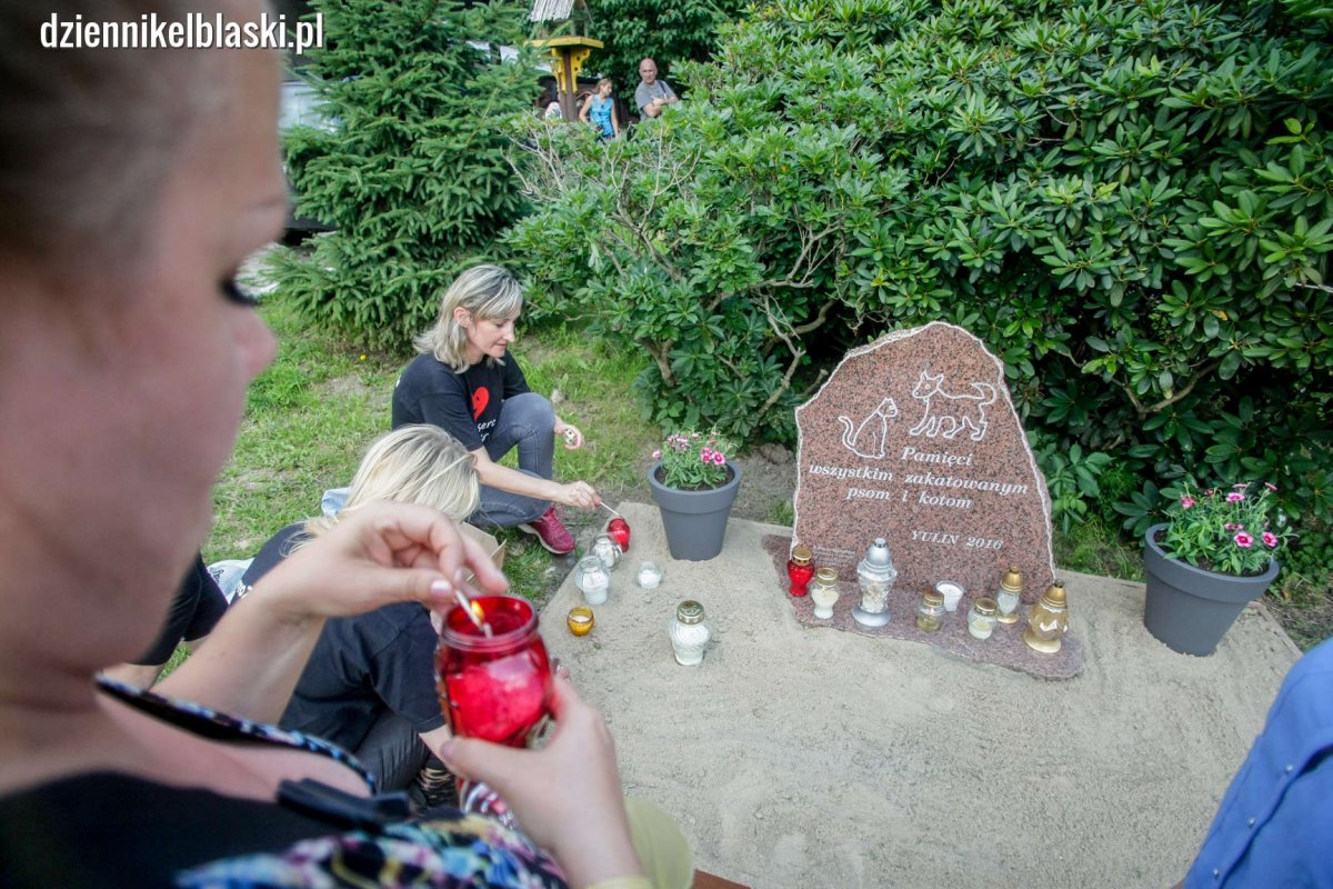 Pomnik w schronisku dla zwierząt. 