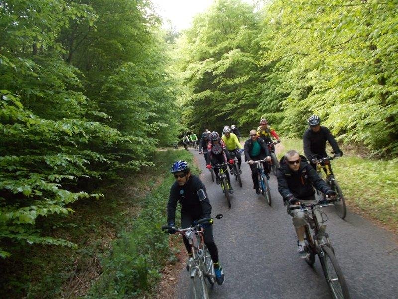 Do Bażantarni i na Modrzewinę rowerami