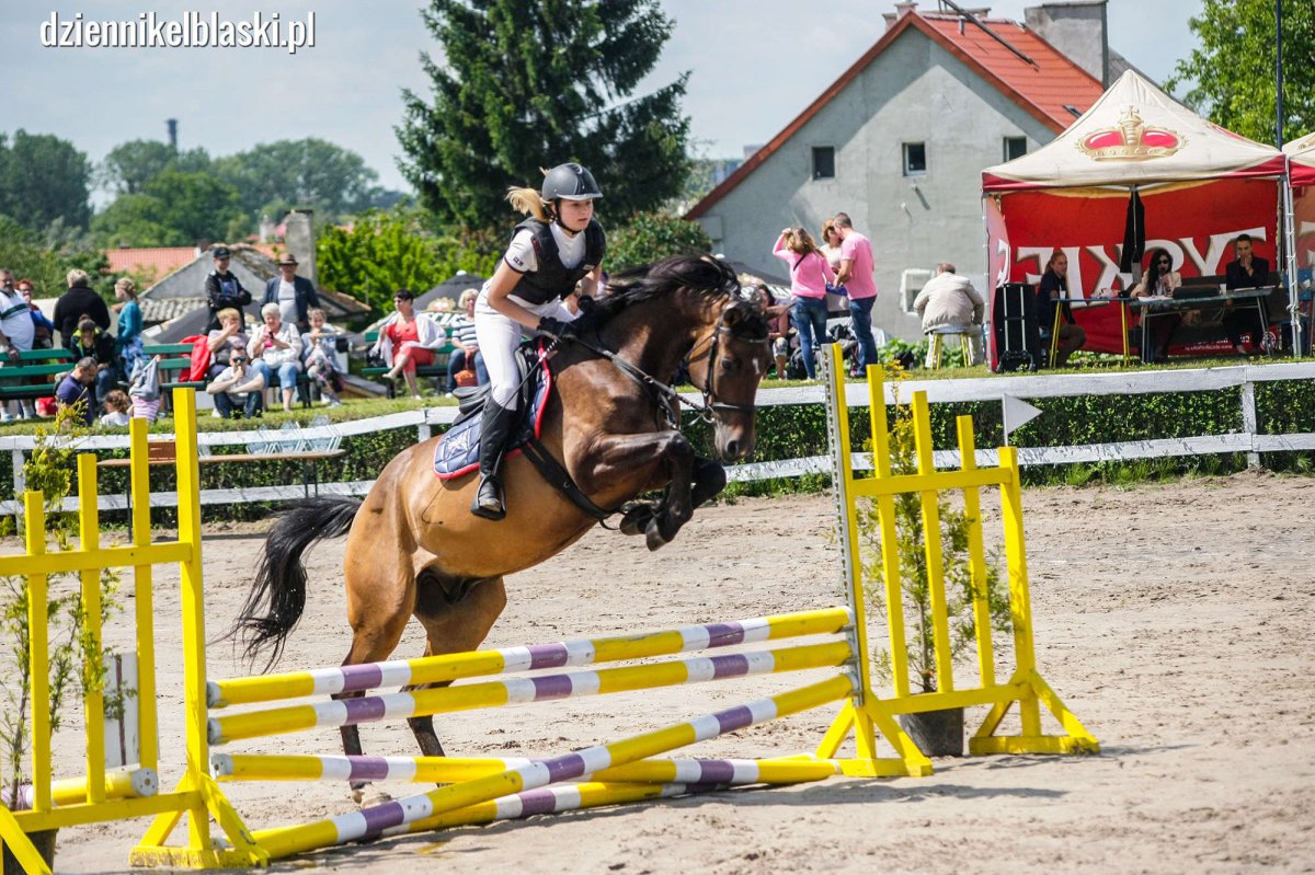 Rodzinny festyn i zawody w Fundacji Końskie Zdrowie [zdjęcia]