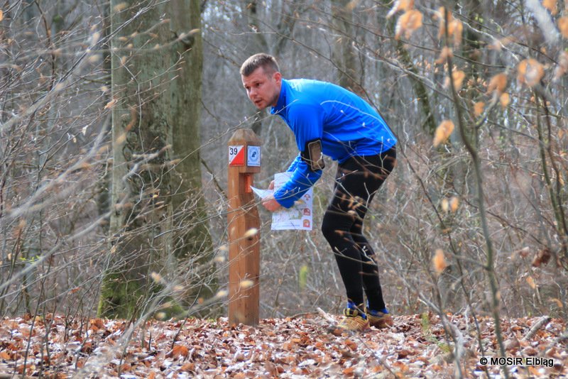 Przed nami XVIII Otwarte Mistrzostwa Elbląga w Biegach na Orientację