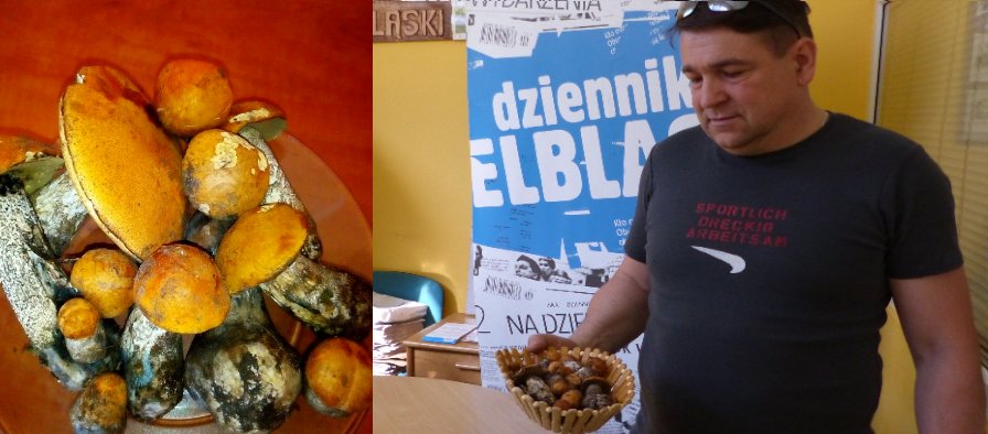 W podelbląskich lasach pojawiły się pierwsze grzyby