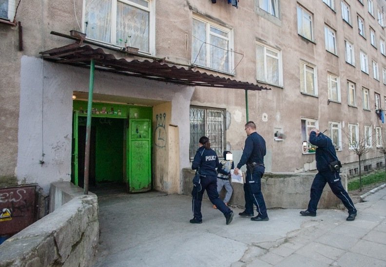 Pies nie przeżył awantury domowej. Zginął od noża