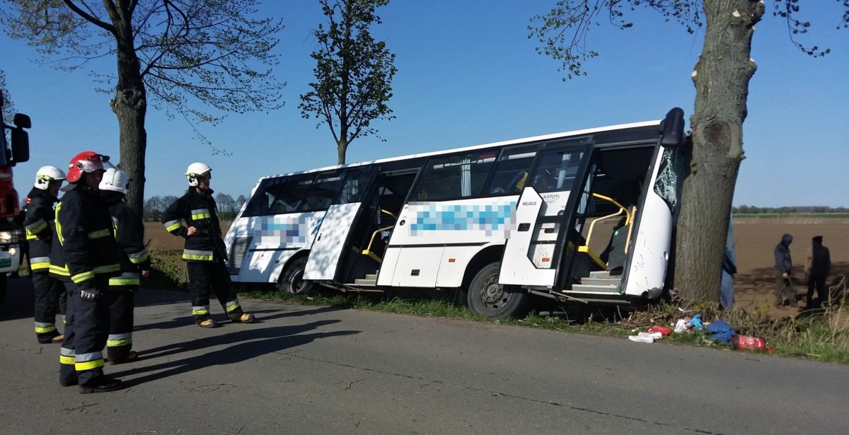 Autobus uderzył w drzewo. Osiem osób trafiło do szpitala [zdjęcia]
