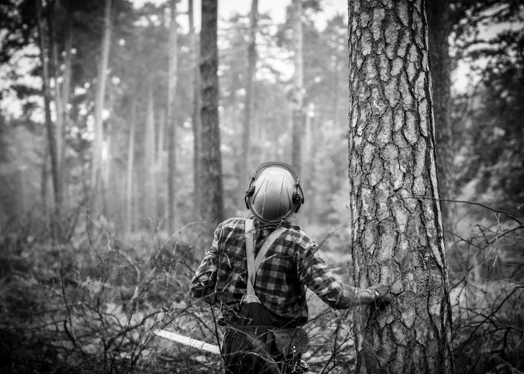 Poznaliśmy laureatów konkursu fotograficznego Las-drewno-człowiek