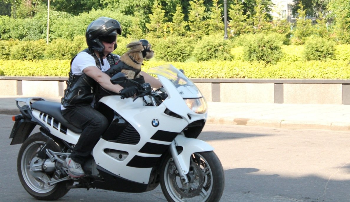 Rosyjskie media: jedna z ofiar wypadku na S22 to słynny motocyklista