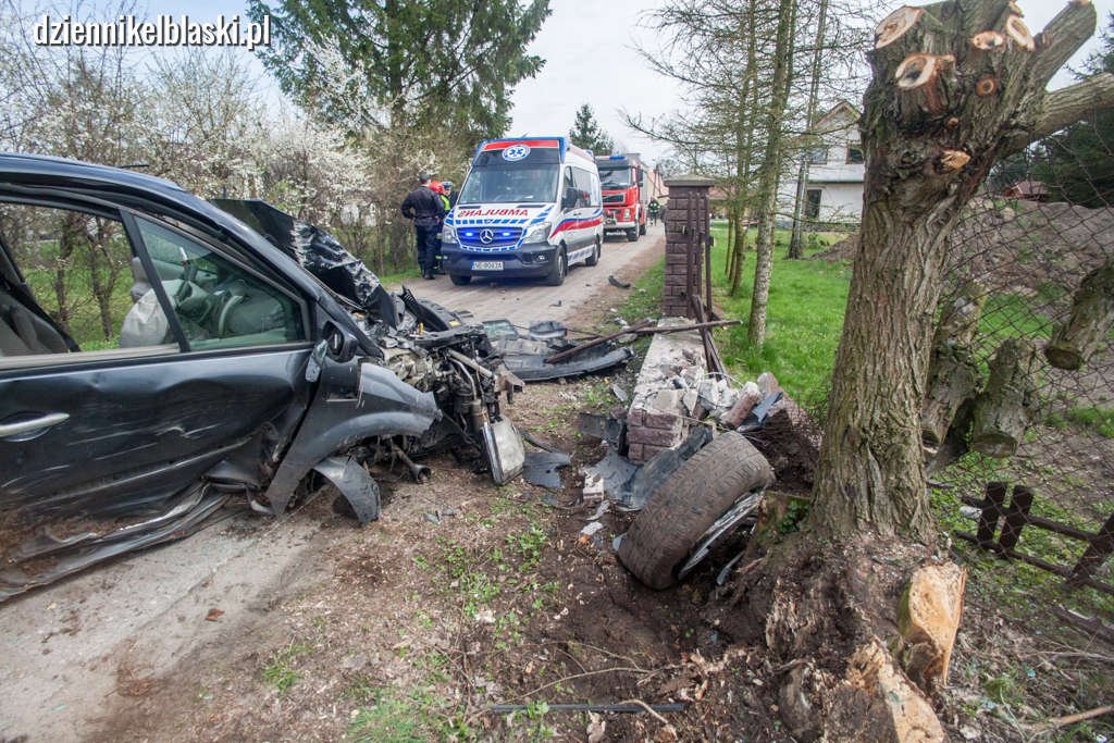 Wypadek w Jegłowniku. Uciekał z miejsca stłuczki, rozbił się na drzewie [zdjęcia]