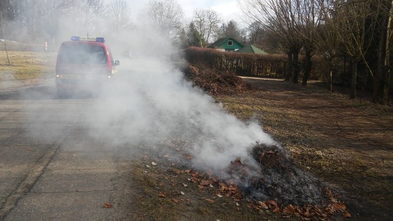 Funkcjonariusze Straży Miejskiej na działkach