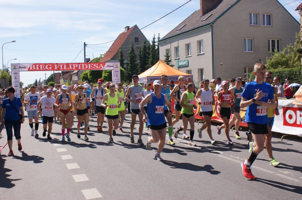 Przygotowania do 11 Biegu Filipidesa w pełni