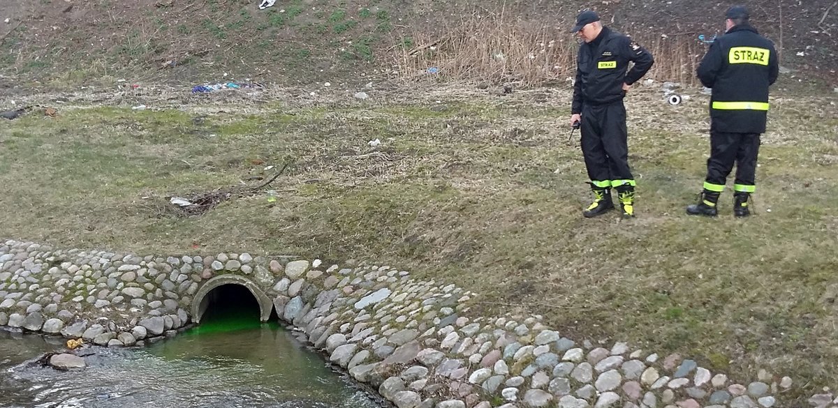 Kumiela w Parku Dolinka znowu zabarwiła się na zielono 
