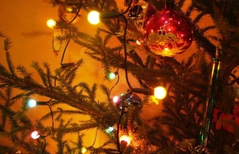 Ruszyła poświąteczna zbiórka choinek. Potrwa do 13 lutego