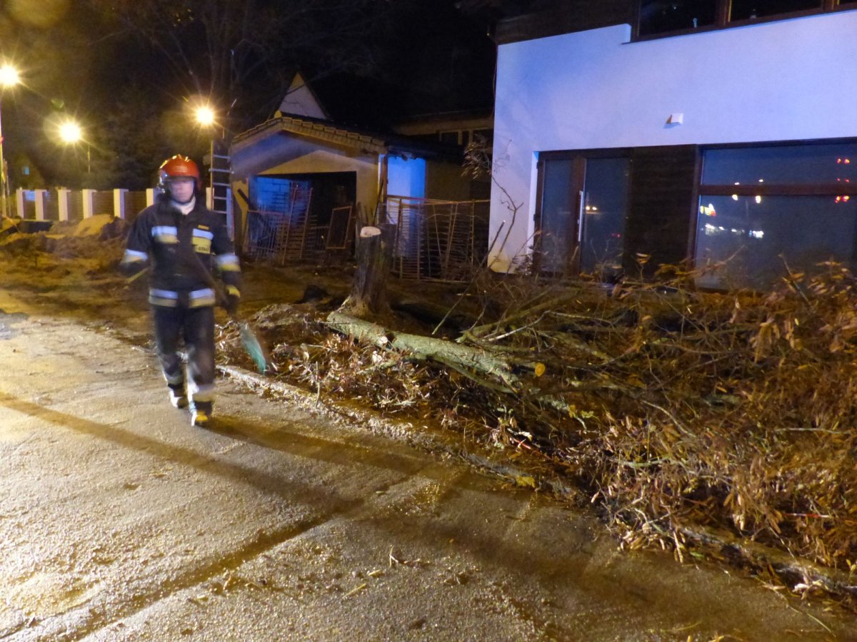 Silny wiatr łamie drzewa. Strażacy interweniowali na Mielczarskiego