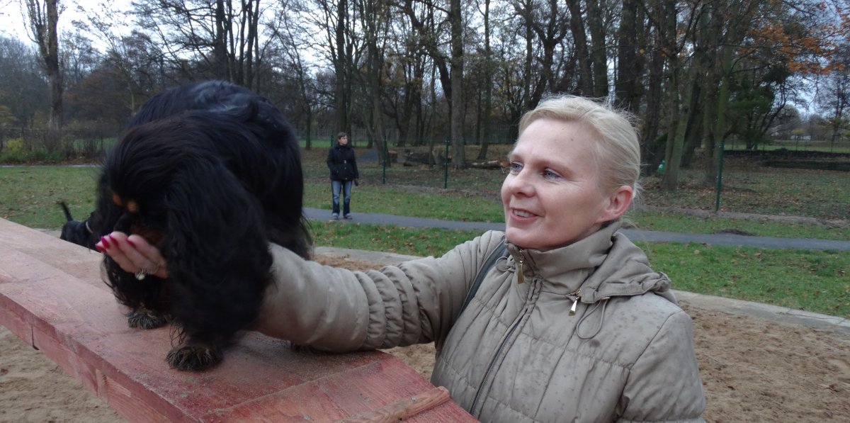Jak się sprawdza psi park na Dolince? Dla zwierząt też warto coś zrobić
