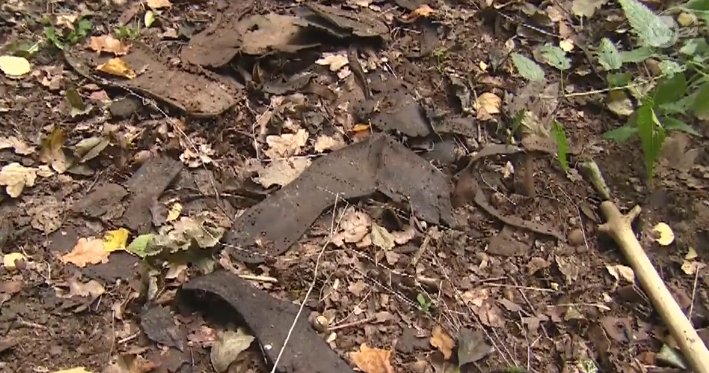 W lesie w Sztutowie odkryto buty więźniów niemieckich obozów. Film