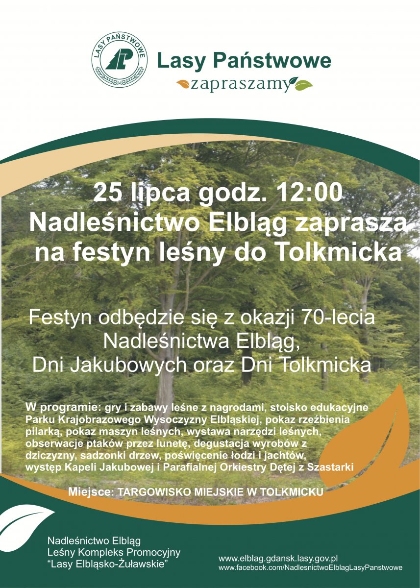 Festyn leśny z okazji 70-lecia Nadleśnictwa Elbląg