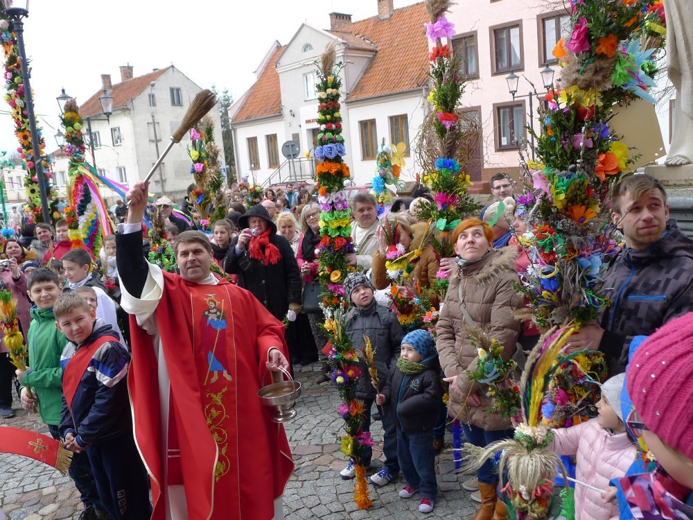 Najpiękniejsze palmy z Kadyn i Tolkmicka