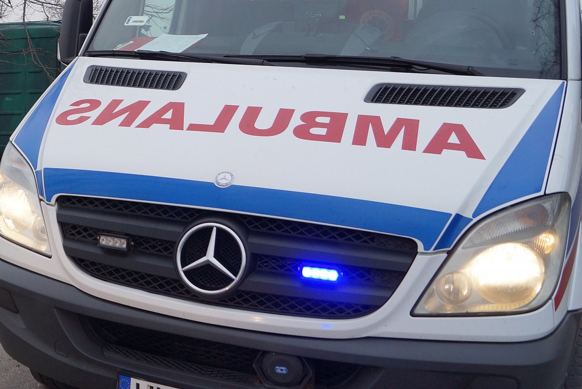 Lis przebiegł przez drogę. Kobieta uderzyła autem w drzewo i dachowała