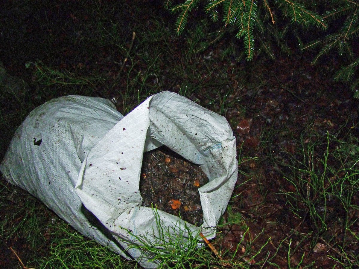 Kradli bursztyn na Mierzei. Strażnicy znaleźli kolejną nielegalną kopalnię