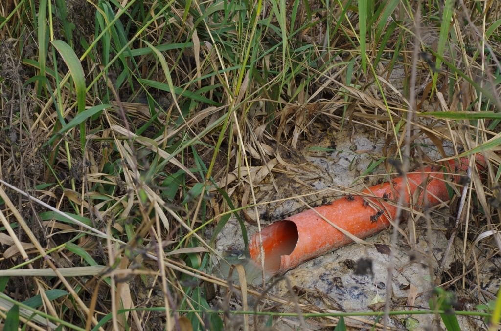 Nieczystości popłynęły do Druzna - alarmują wędkarze