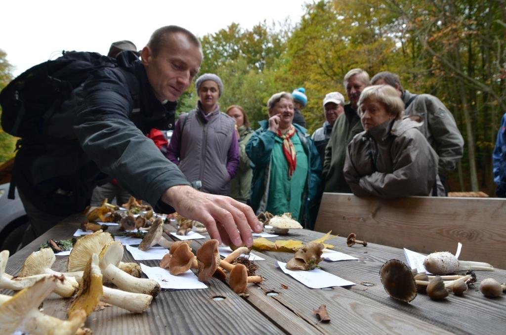 Napisali do nas. Pięć i pół kilograma grzybów
