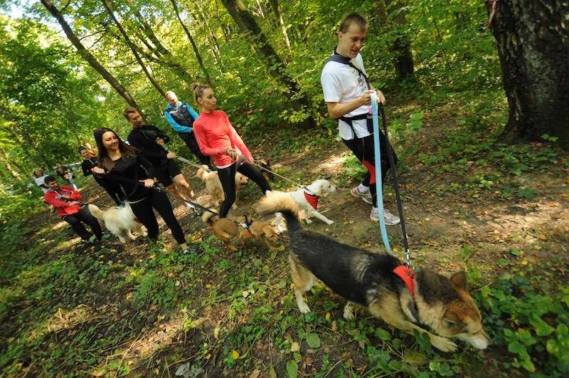 Pobiegli na sześć łap w Bażantarni. Po raz pierwszy w Elblągu