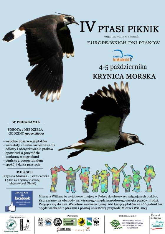 To będzie odlotowe wydarzenie. Ptasi piknik na Mierzei