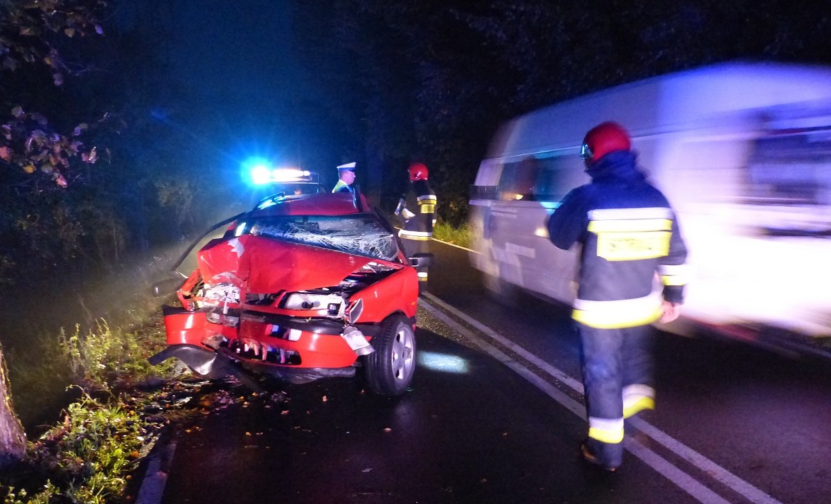 Uderzył w drzewo. Miał promil i zabrane przez sąd prawo jazdy
