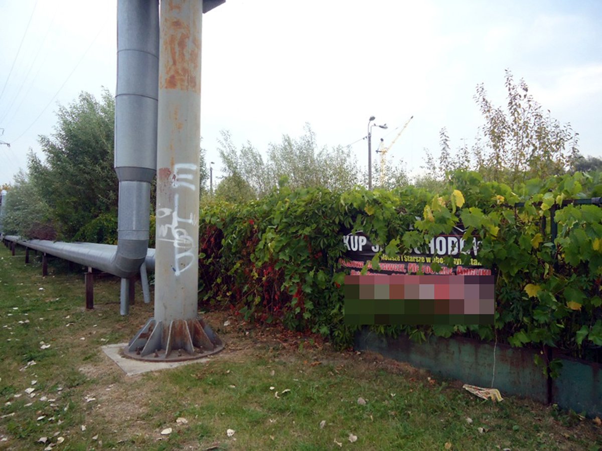 Miasto upstrzone ulotkami i reklamami. Jak to zmienić?