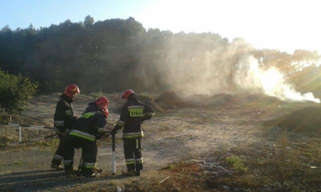 Pożar w Bażantarni. Ogień szybko się rozprzestrzeniał