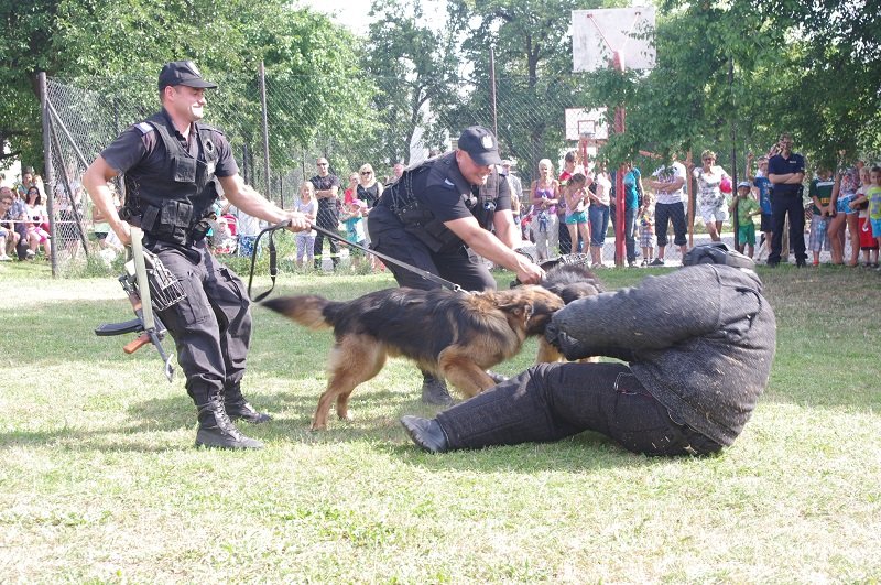 Festyn z okazji święta policji w Pasłęku. Zdjęcia!