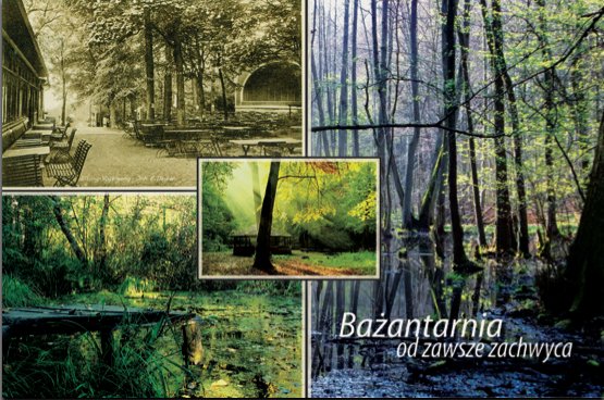 Nasz konkurs. Wyślij pocztówkę z Bażantarni