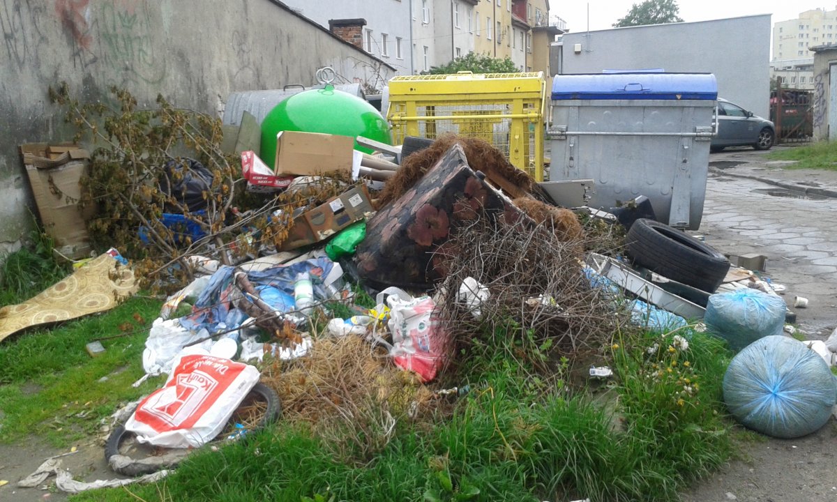 Ekologiczne patrole ruszą w miasto