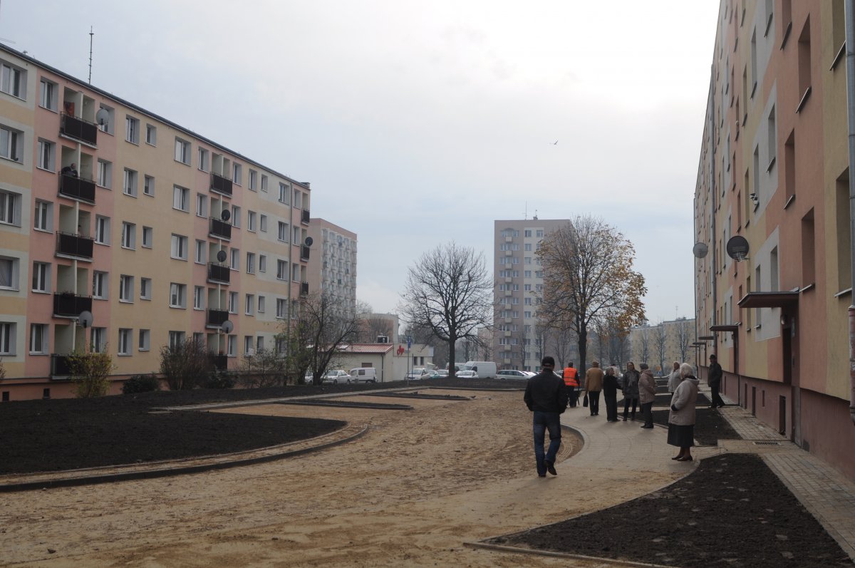 Budżet obywatelski. Wieża widokowa i park dla psów