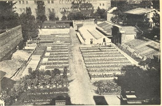 Tylko u nas. Historia szkoły „na górce”  