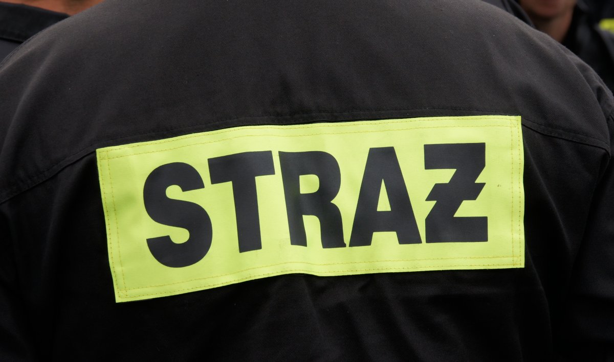 8-latek wszedł na jabłoń. Ściągnąć musieli go strażacy