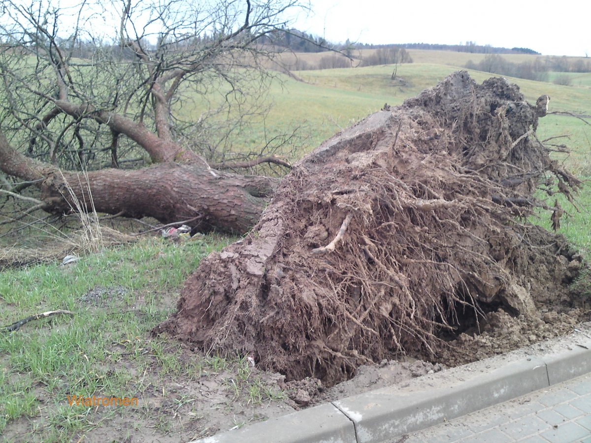 Mocno wiało. 500 gospodarstw było bez prądu
