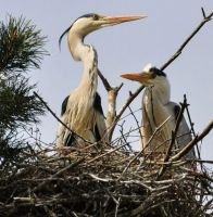 Natura w obiektywie Marcina Gałęziewskiego