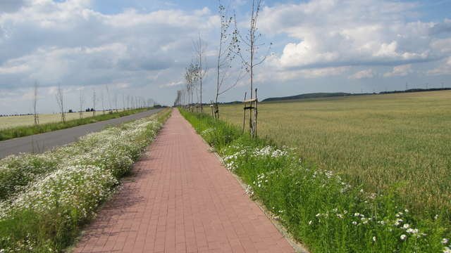 Budowa ścieżki rowerowej do Krasnego Lasu może trwać 20 lat