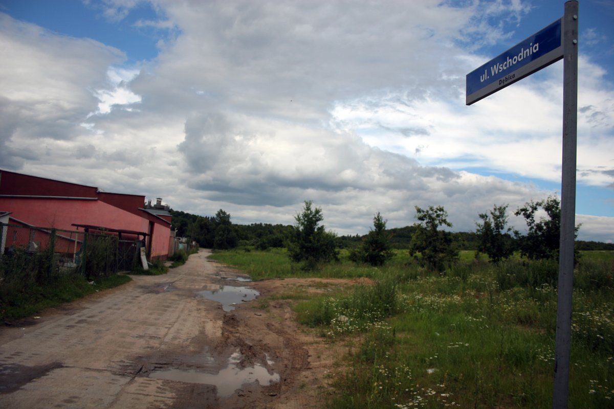 Warto budować drogę do lasu? Ważą się losy Wschodniej
