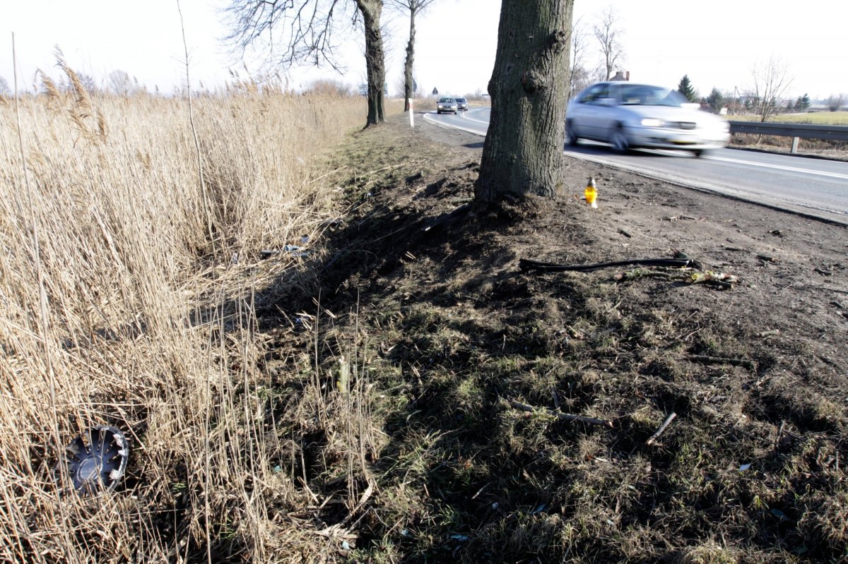 Dwie dziewczyny zginęły w wypadku na drodze nr 22