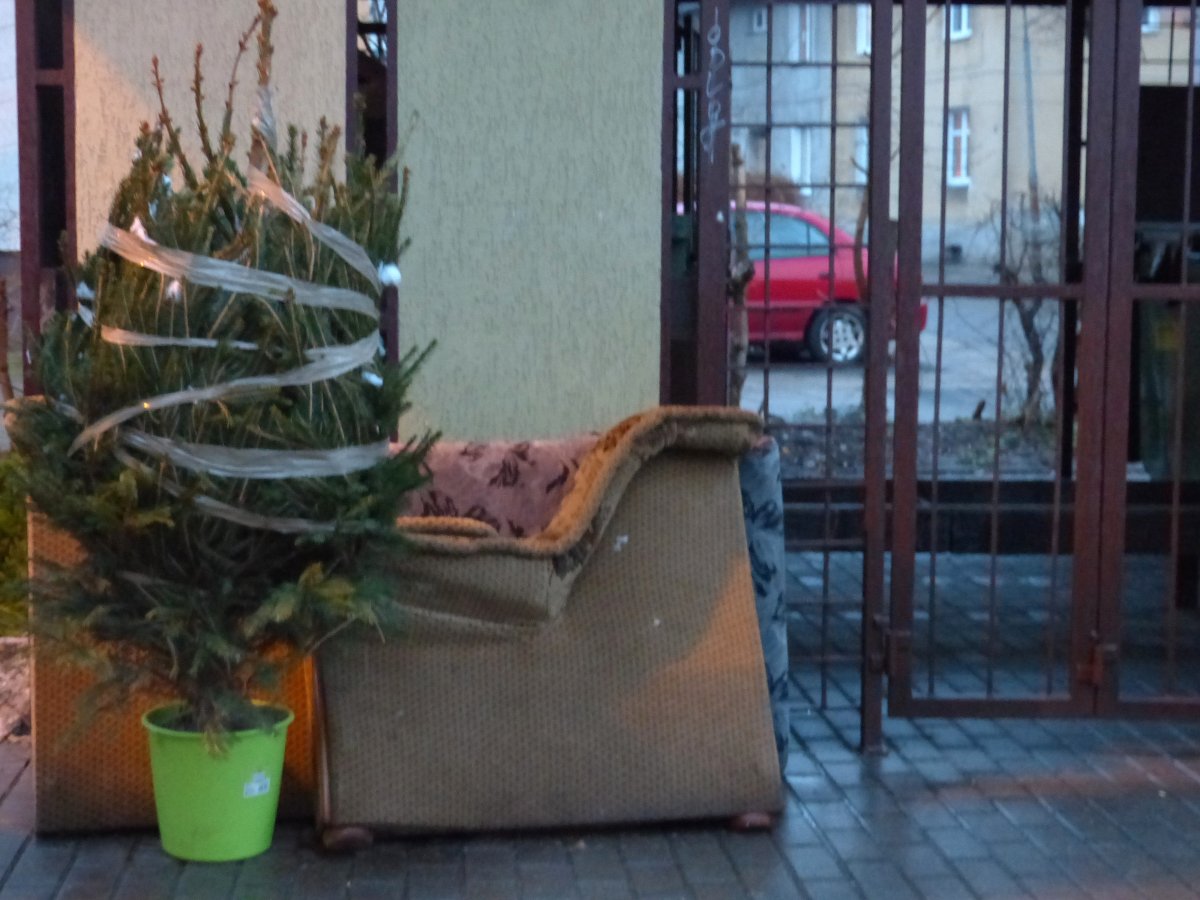 Znajdź swój śmietnik w spisie i wyrzuć choinkę