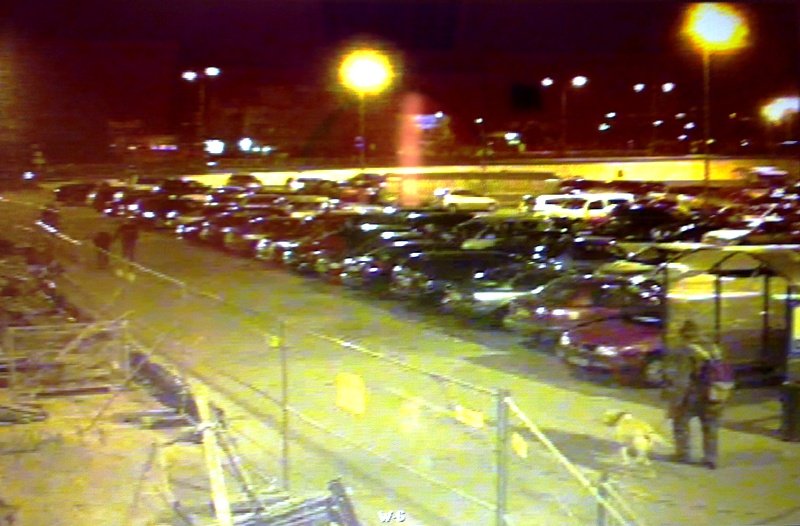 Ukradł labradora sprzed Carrefoura. Bo mu się spodobał