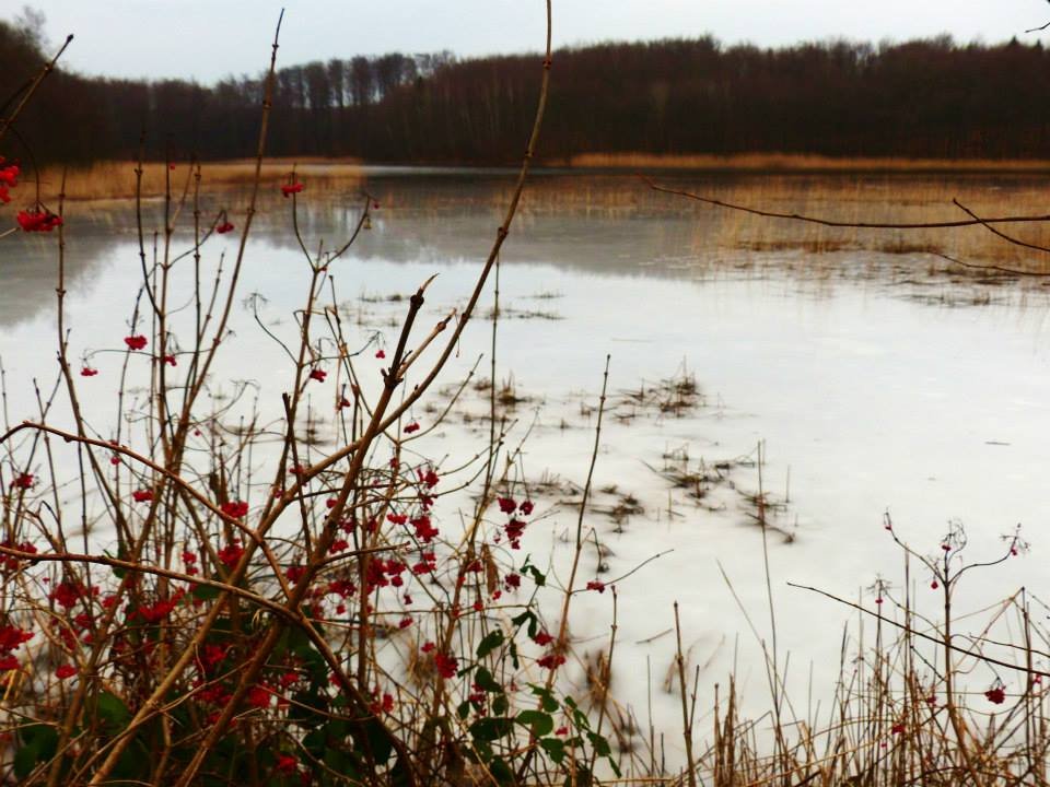 Napisali do nas: Za Elblągiem czuć już zimę