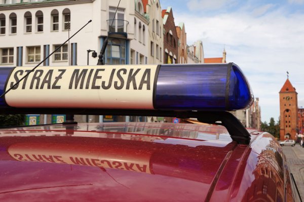 Mężczyzna obnaża się przed spacerującymi po Modrzewinie