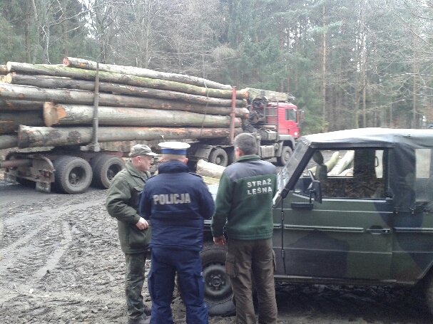 Pilnują choinek przed złodziejami